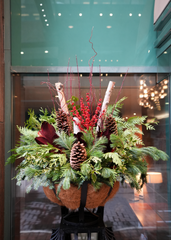 Winter Fascination Arrangement