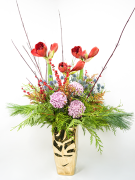 The Breath of Winter