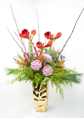 The Breath of Winter