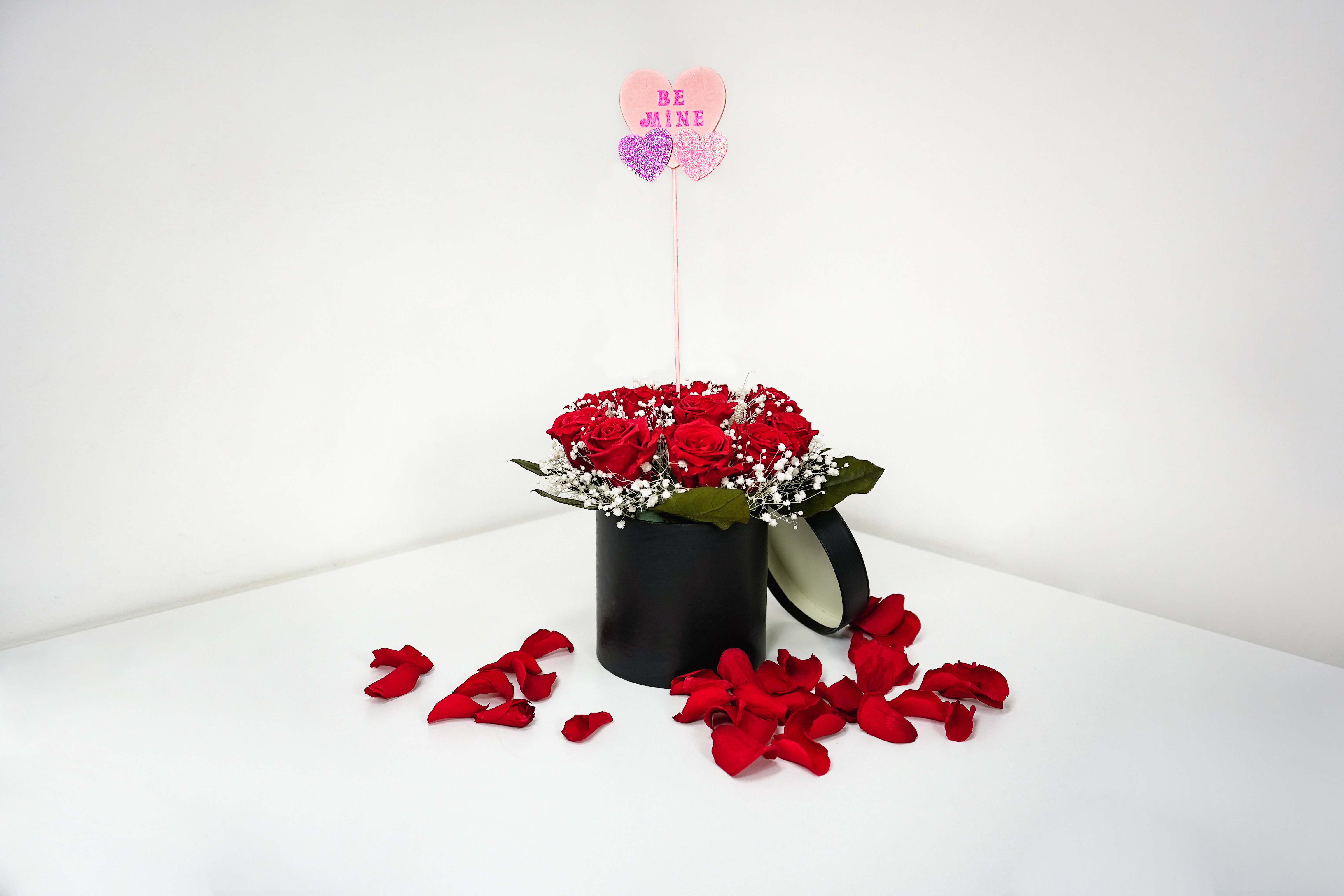 12 Red Preserved Rose Round Box