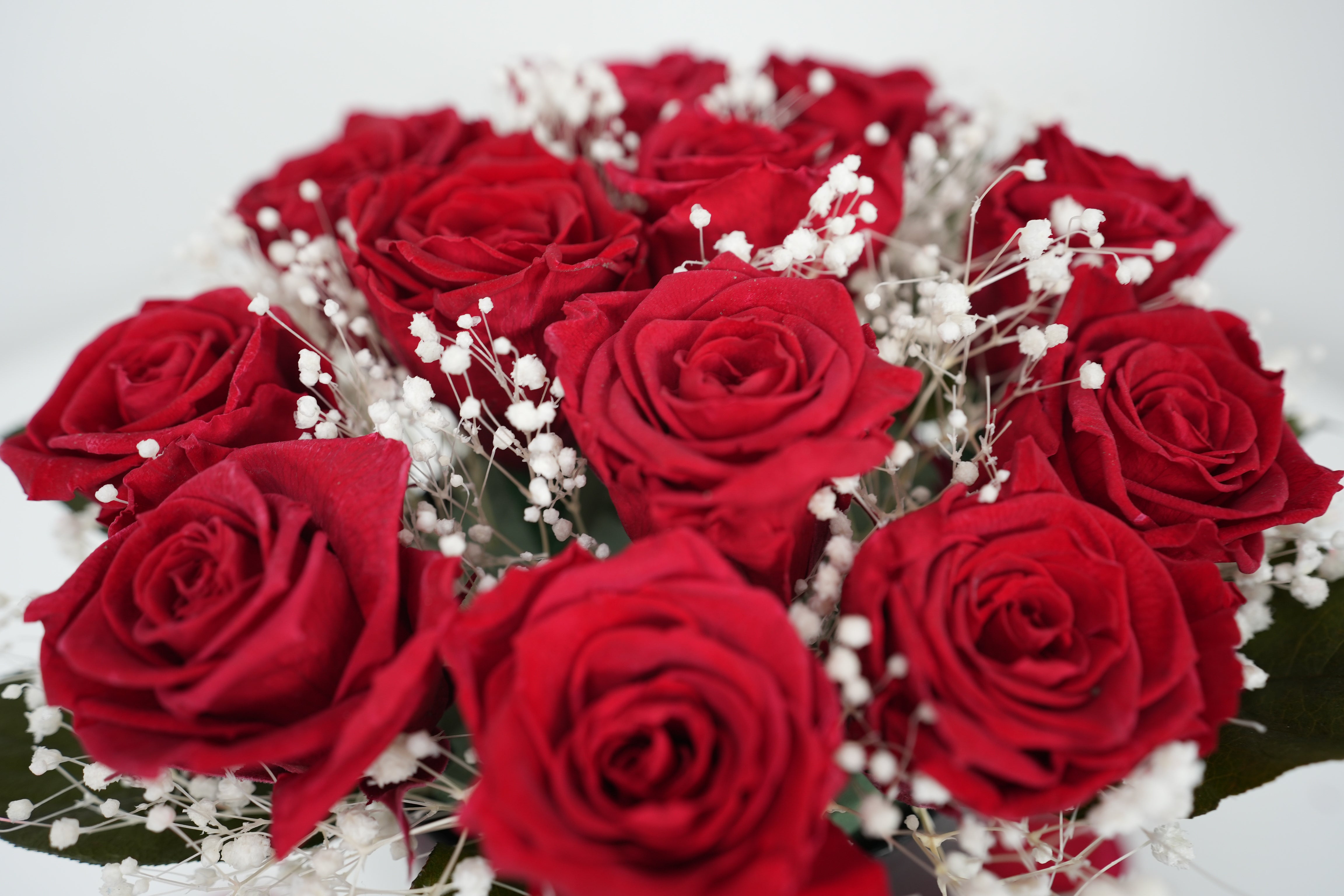 12 Red Preserved Rose Round Box