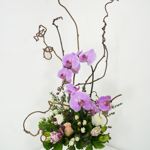 Elegant Orchid Design