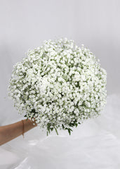 Baby's Breath Bridal Bouquet