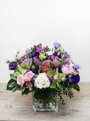 Spring Surprise