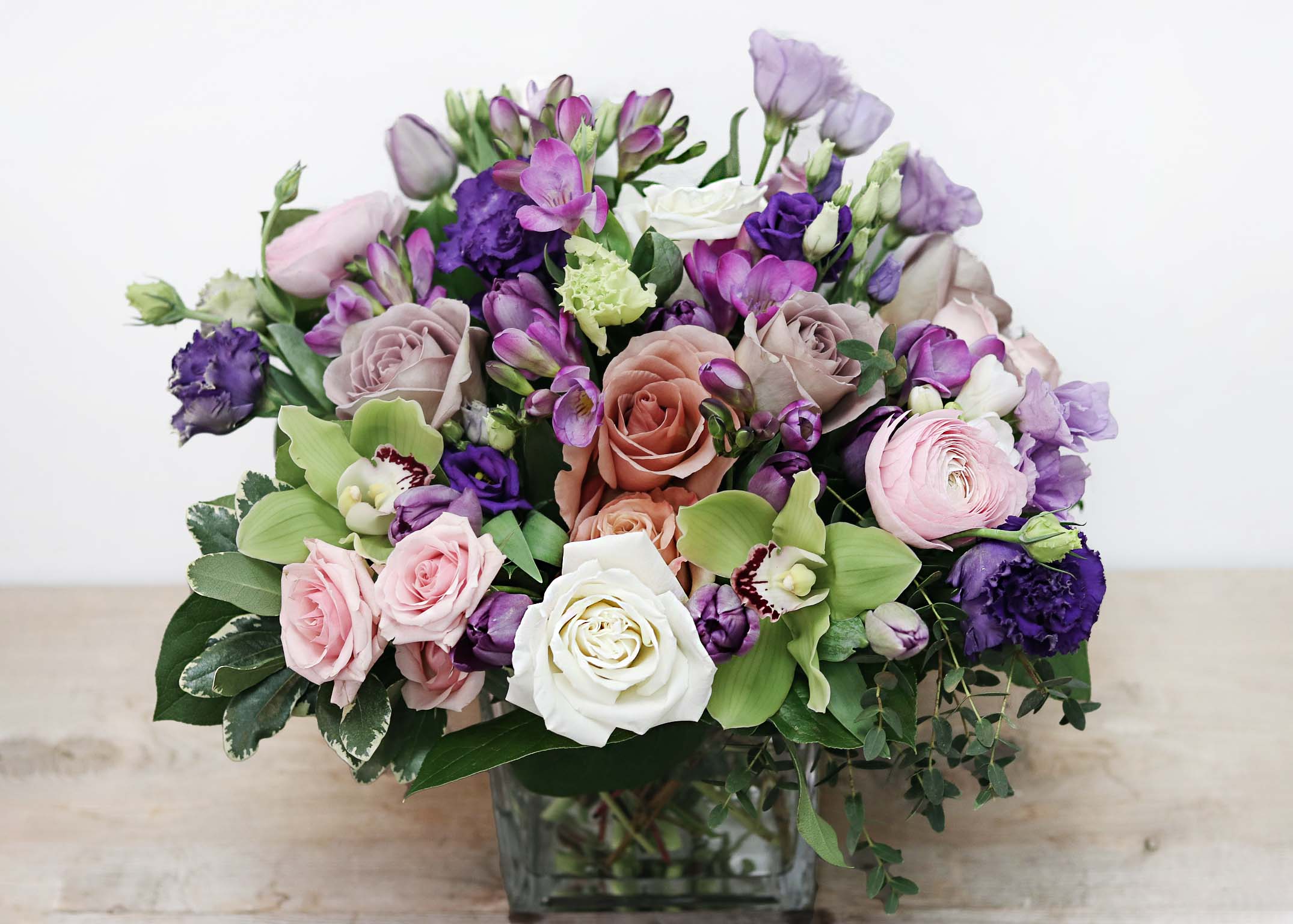 Spring Surprise
