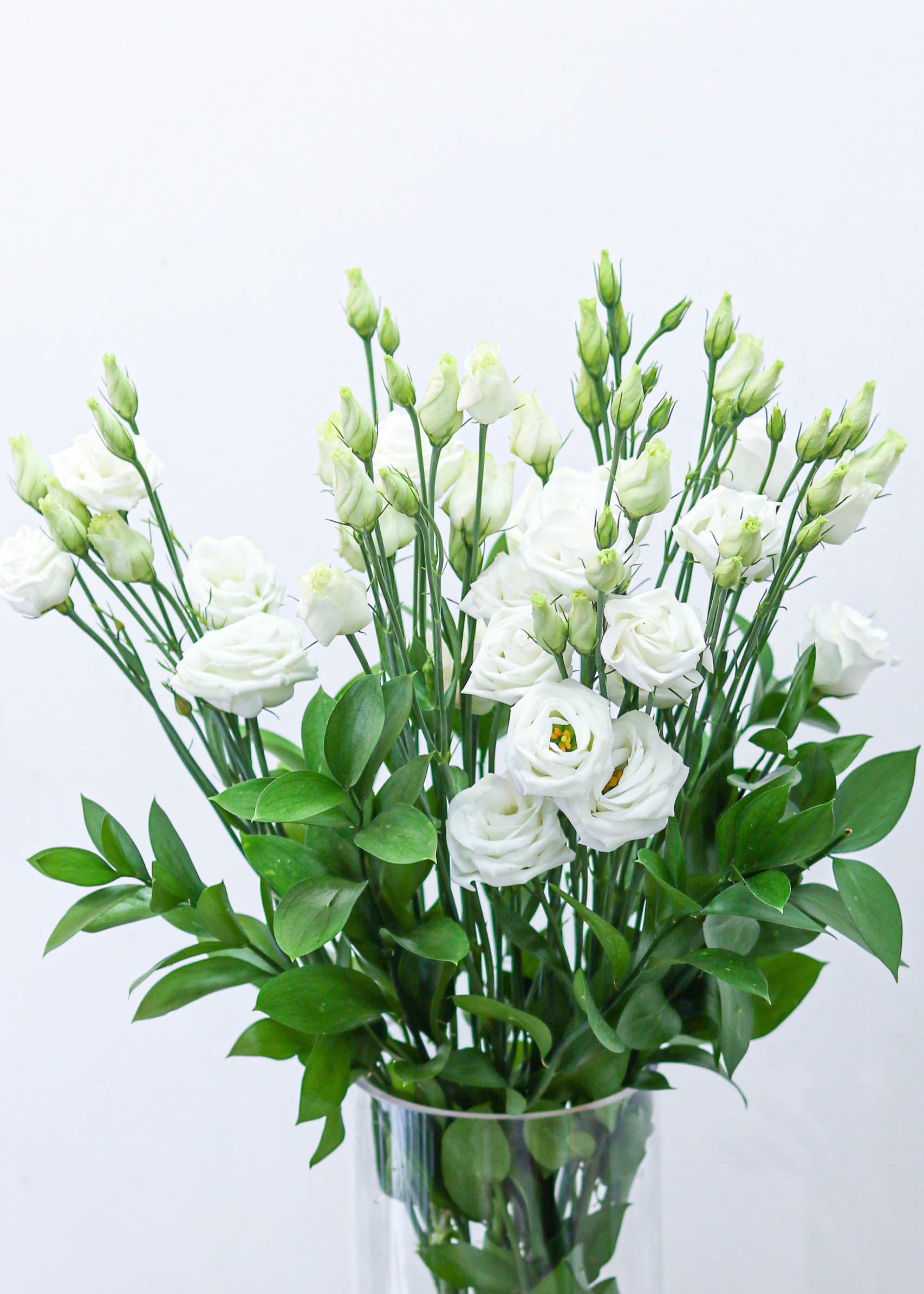 Lisianthus