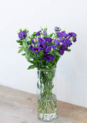 Lisianthus