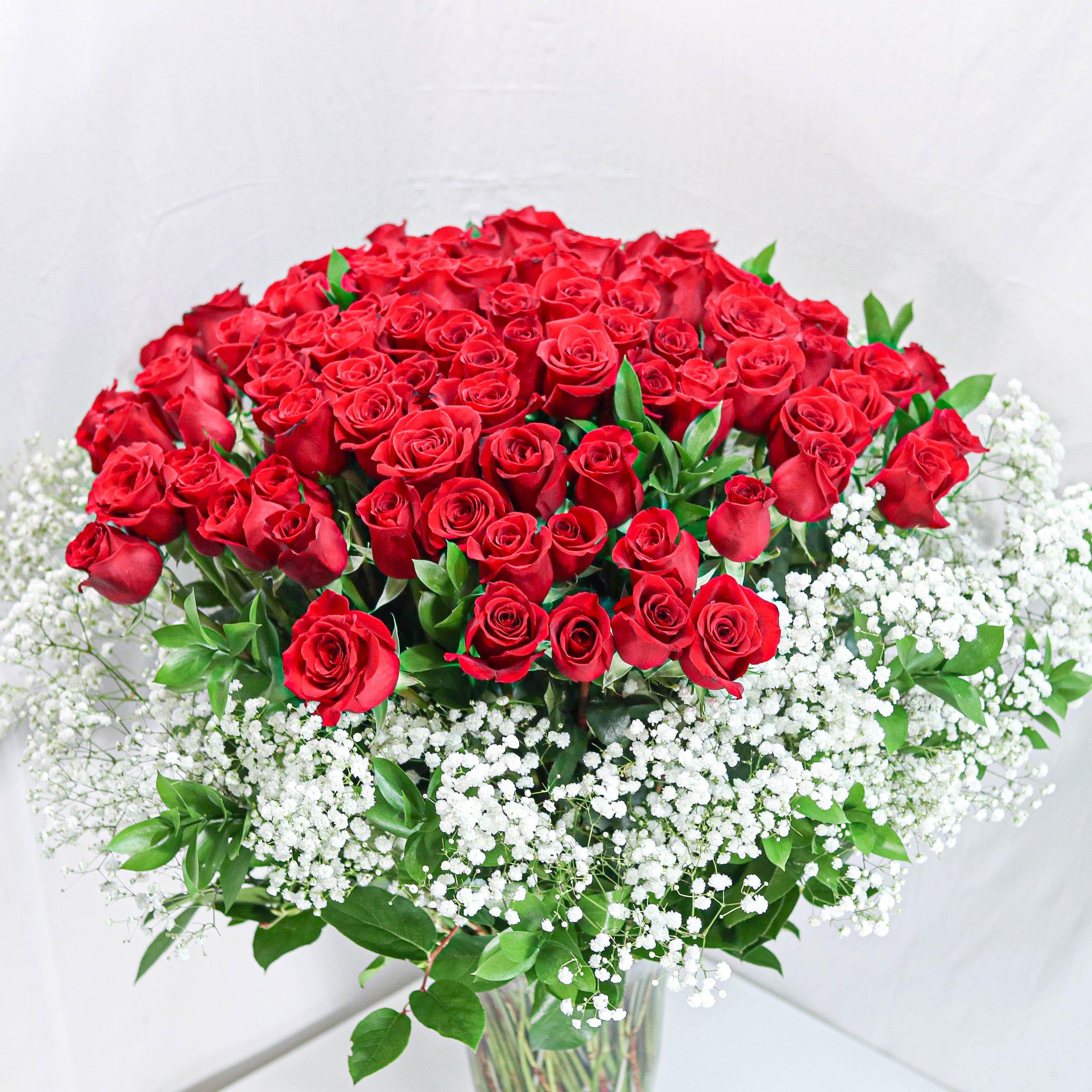 100 Premium Red Roses - Toronto Flower Gallery