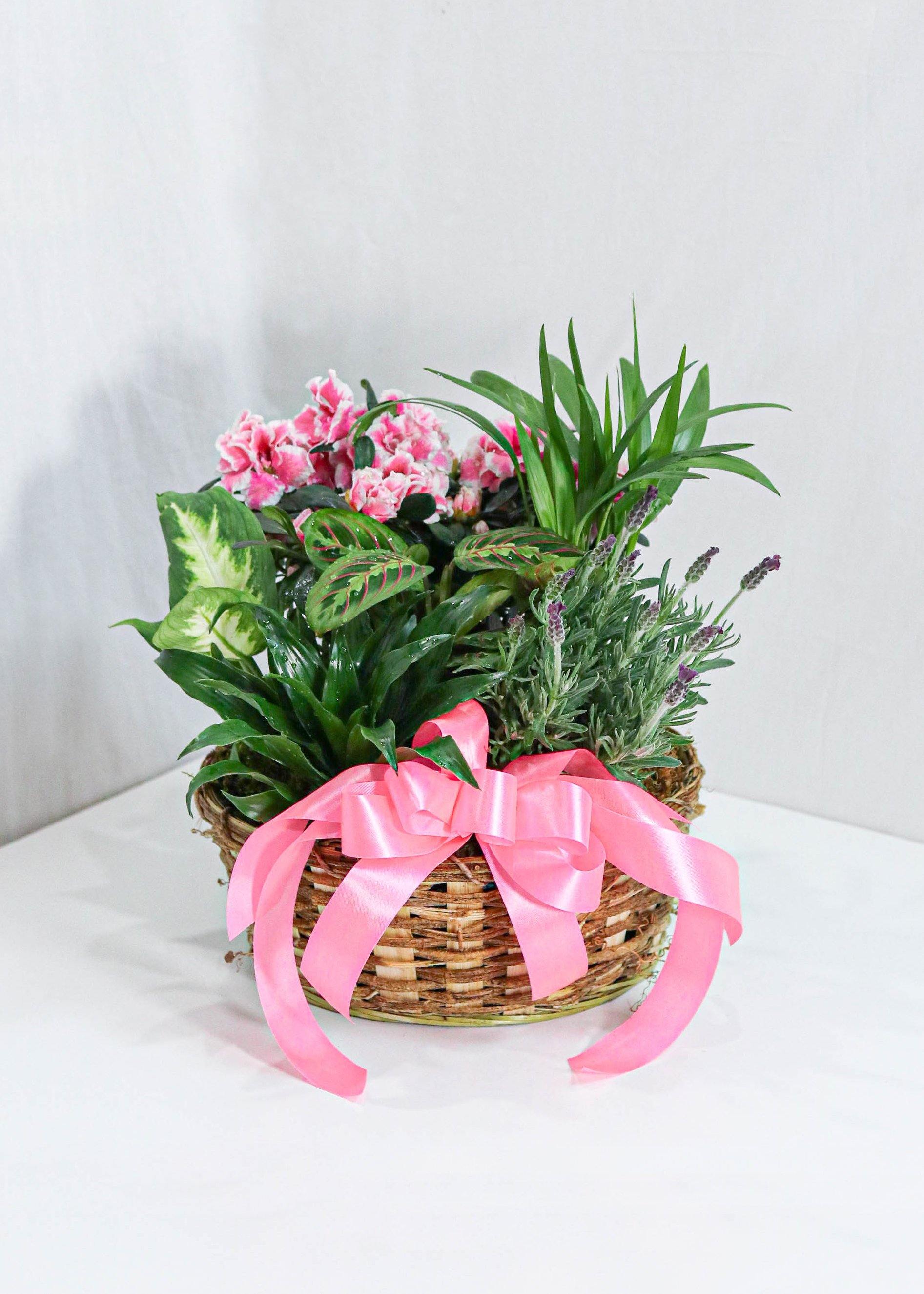 Ribbon - Toronto Flower Gallery