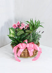 Ribbon - Toronto Flower Gallery