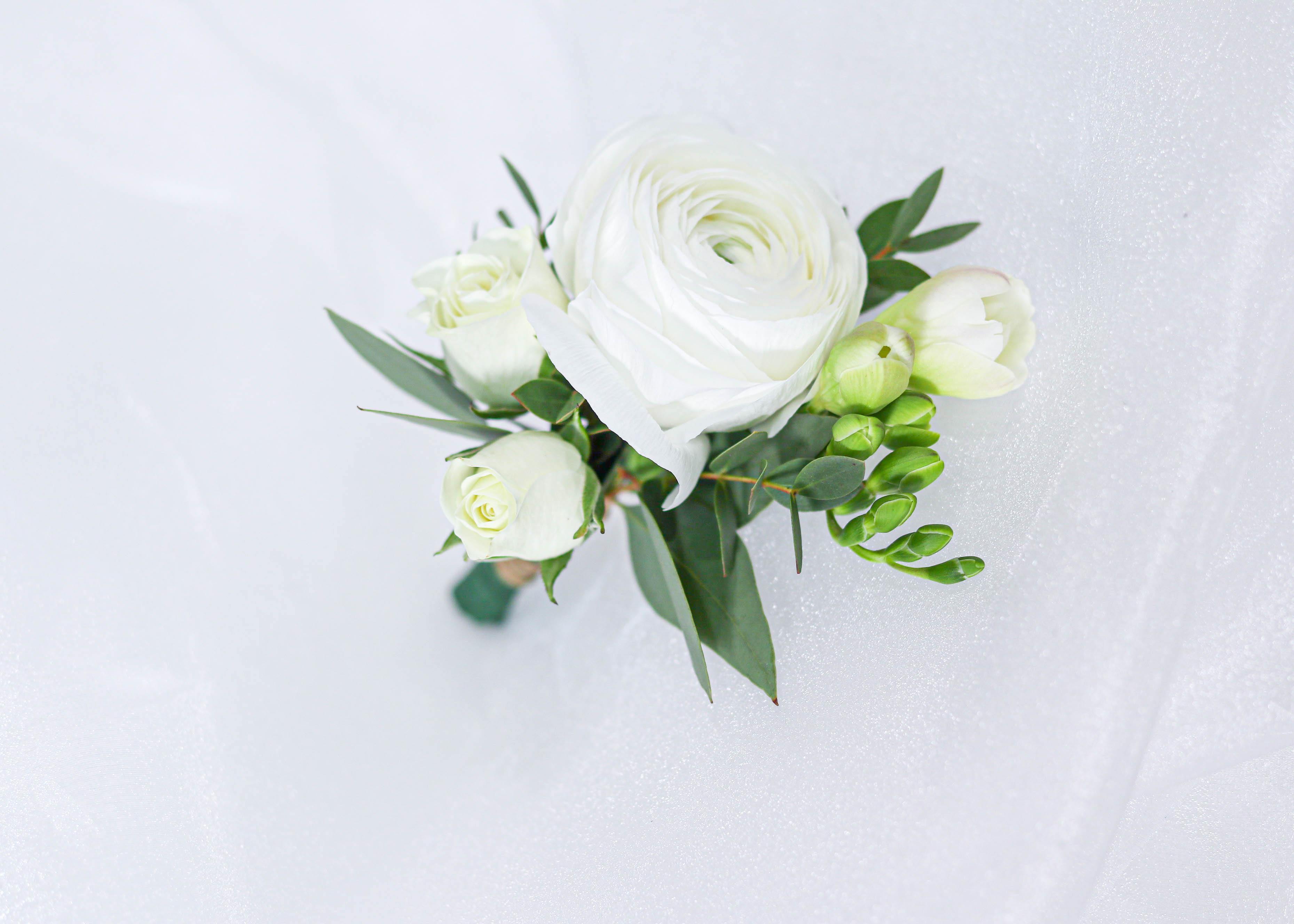 White Ranunculus Boutonniere - Toronto Flower Gallery