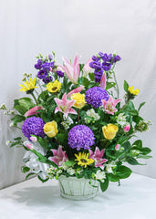 Bright Greeting Flower Basket - Toronto Flower Gallery
