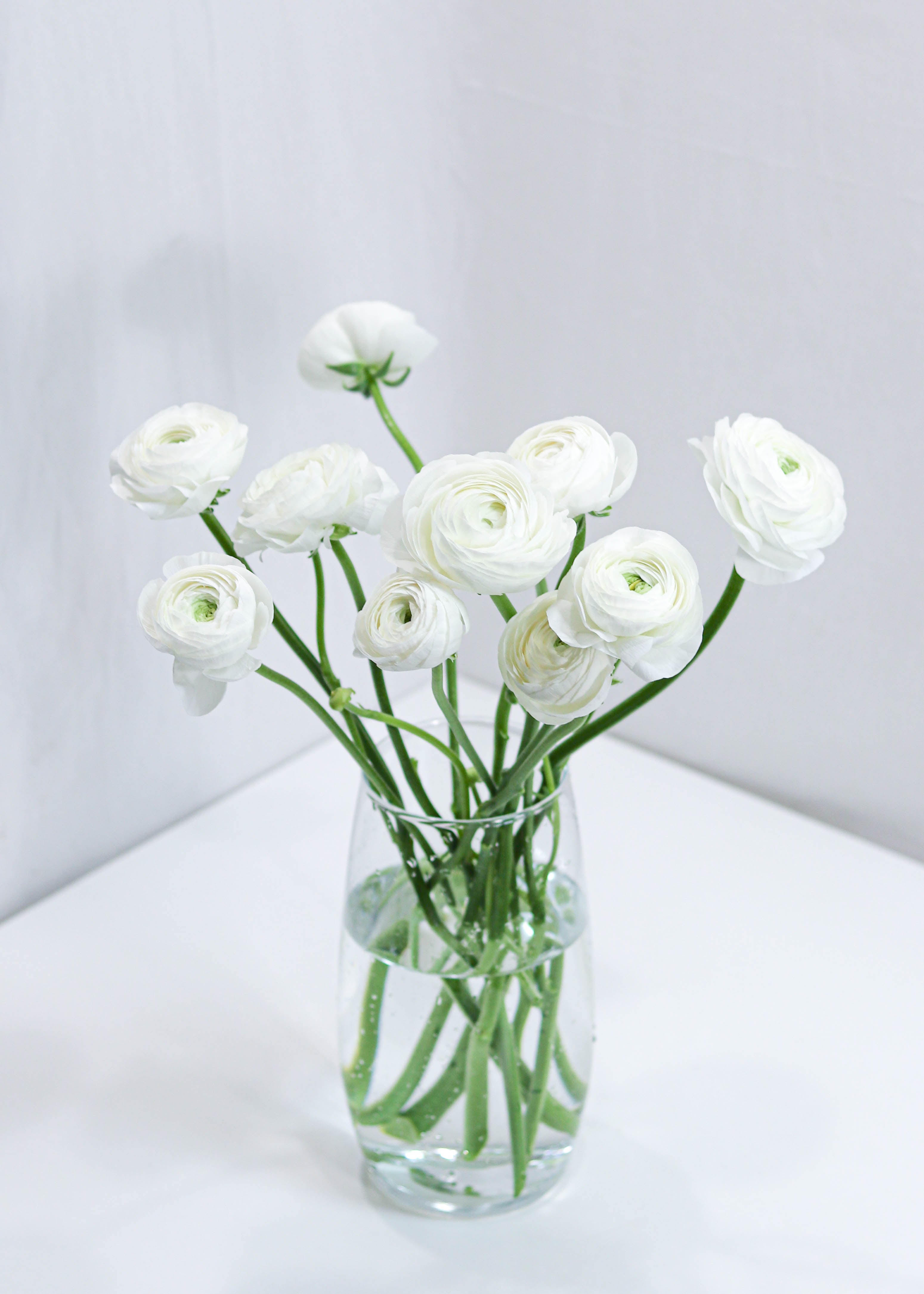 Ranunculus