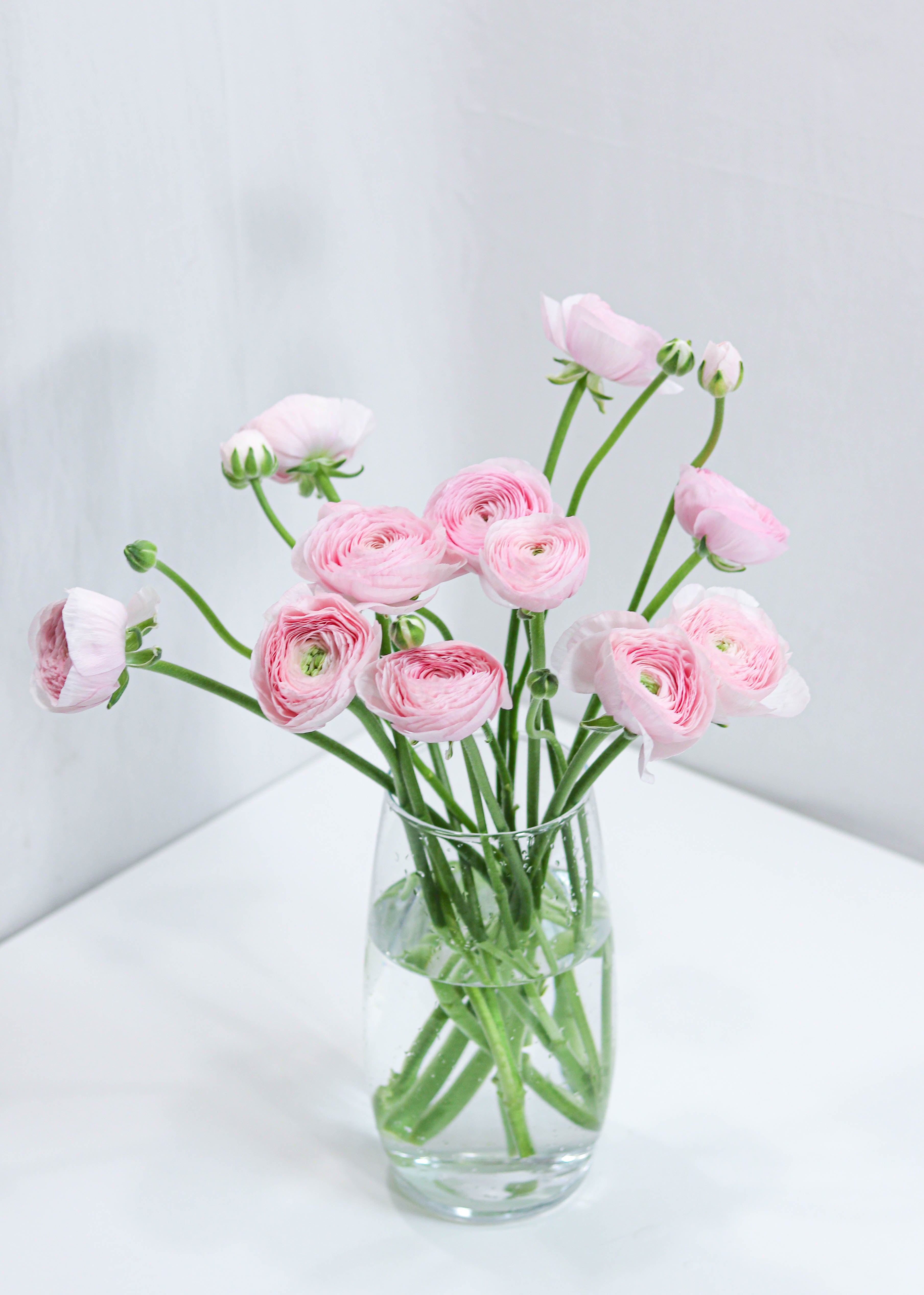 Ranunculus