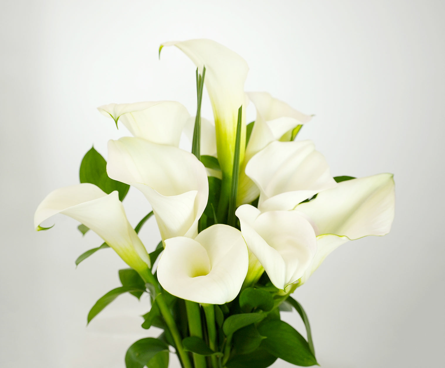 Classic Calla Lily Bouquet (Seasonal)