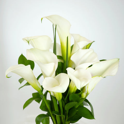Classic Calla Lily Bouquet (Seasonal)
