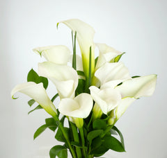 Classic Calla Lily Bouquet (Seasonal)