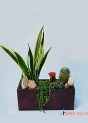 Green Garden - Plant - Toronto Flower Gallery