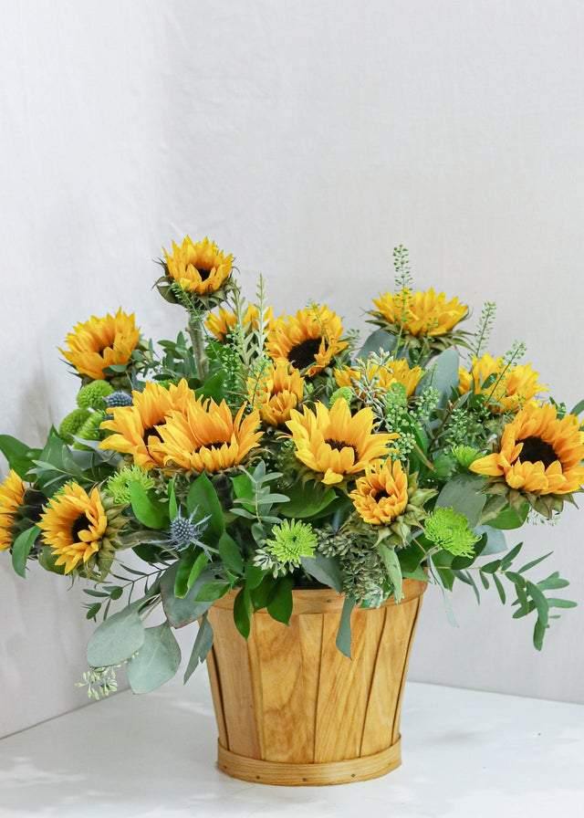 Perfect Sunflower Basket - Flower - Toronto Flower Gallery