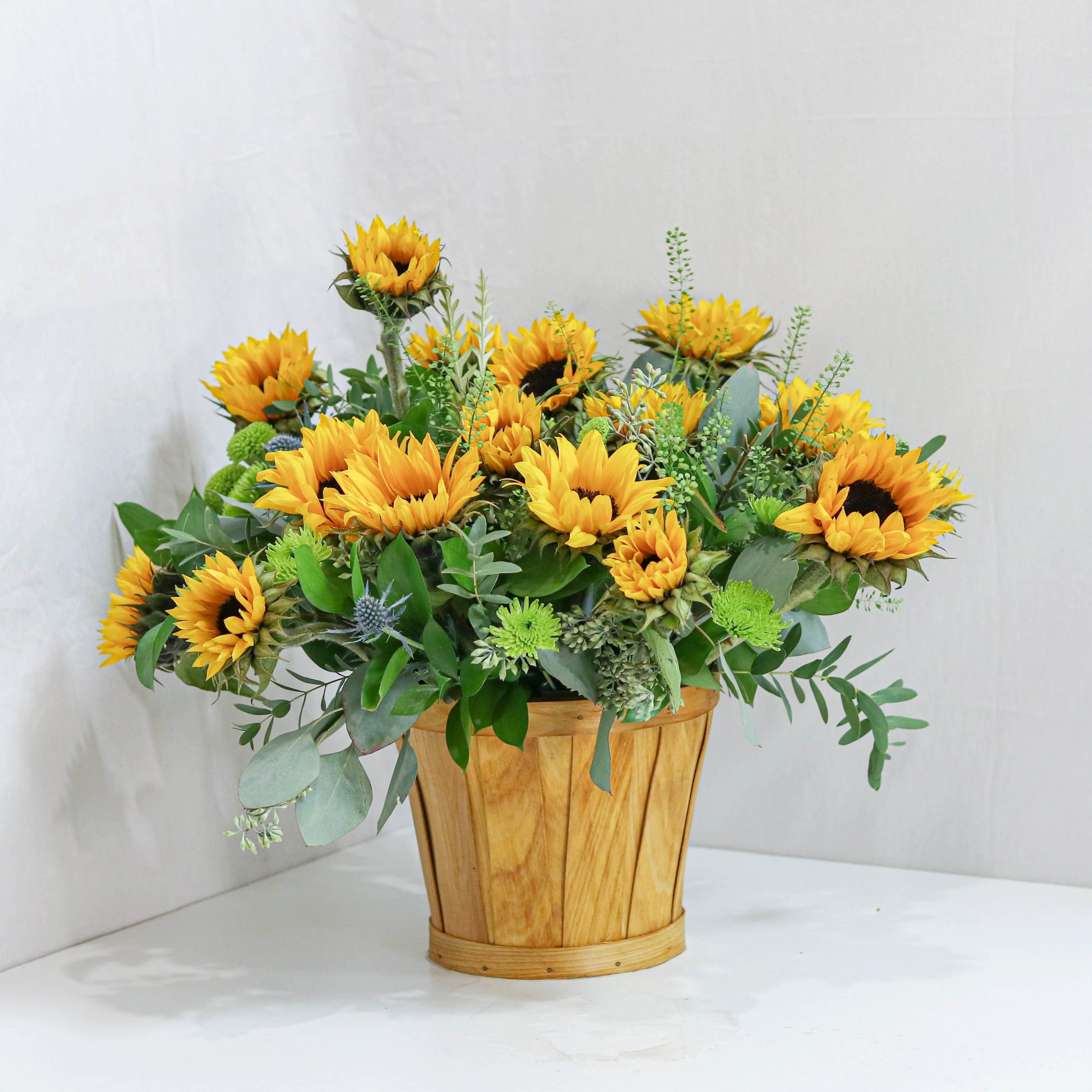 Perfect Sunflower Basket - Flower - Toronto Flower Gallery