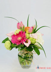 Refreshing Your Day - Flower - Toronto Flower Gallery