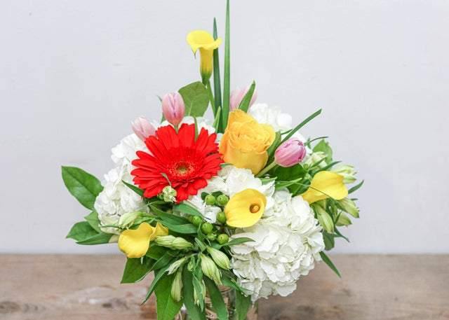 Refreshing Your Day - Flower - Toronto Flower Gallery