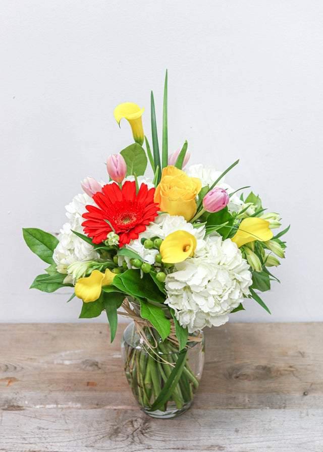 Refreshing Your Day - Flower - Toronto Flower Gallery