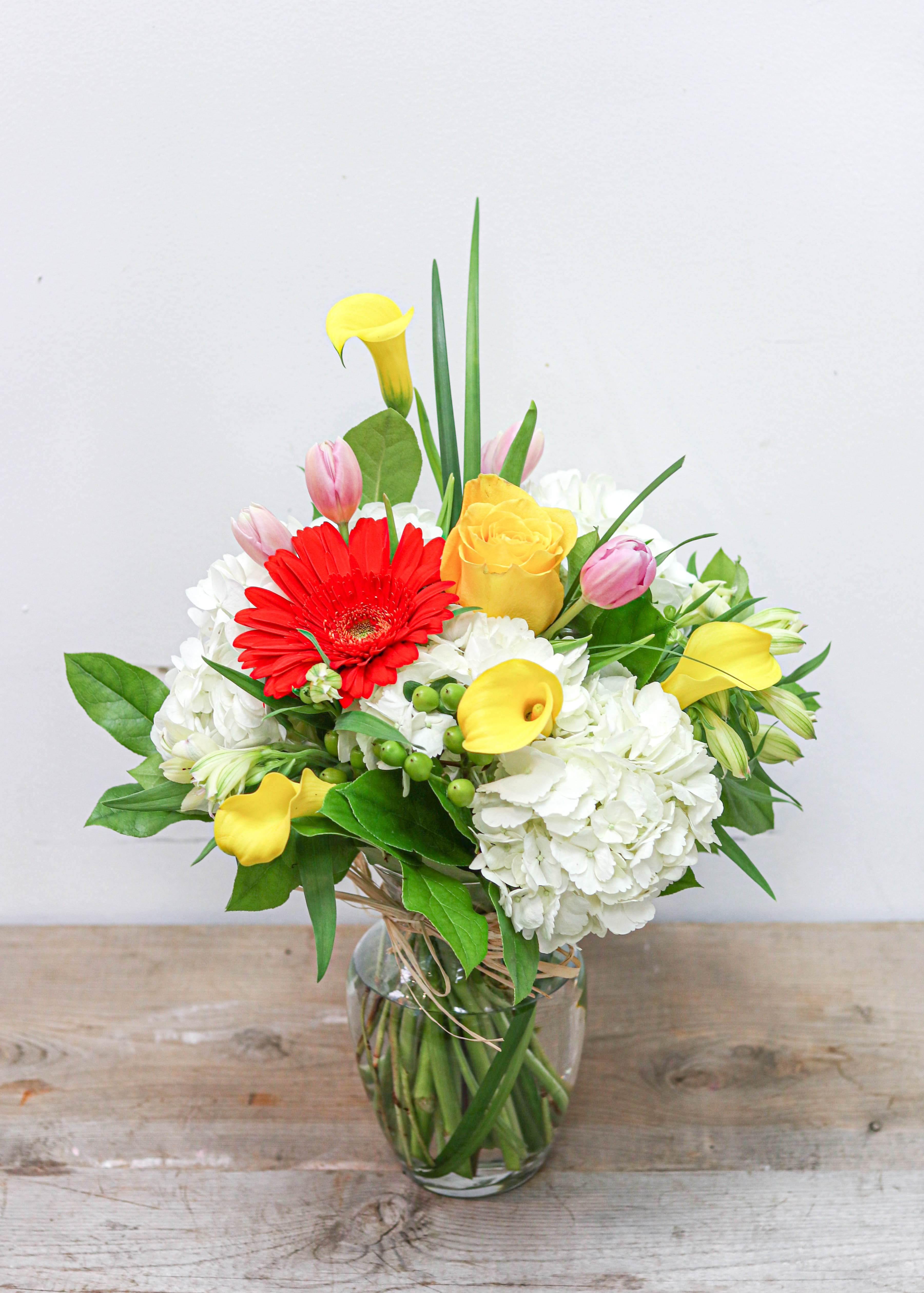 Refreshing Your Day - Flower - Toronto Flower Gallery