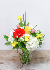 Refreshing Your Day - Flower - Toronto Flower Gallery