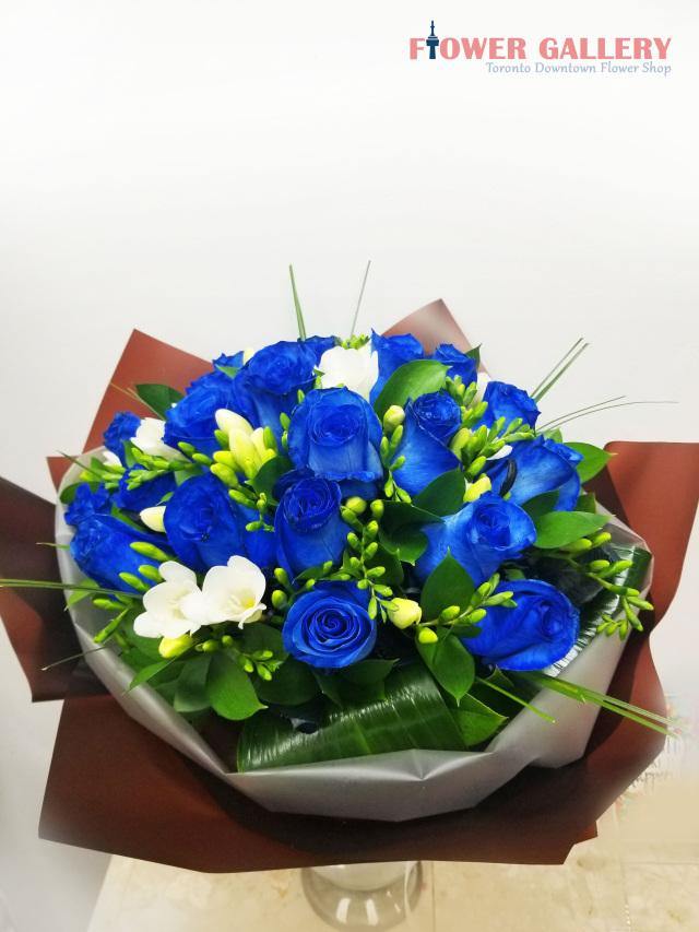 12 Blue Roses