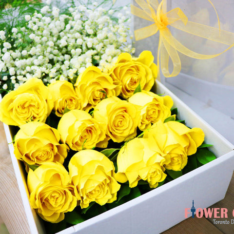 12 Yellow Rose Box