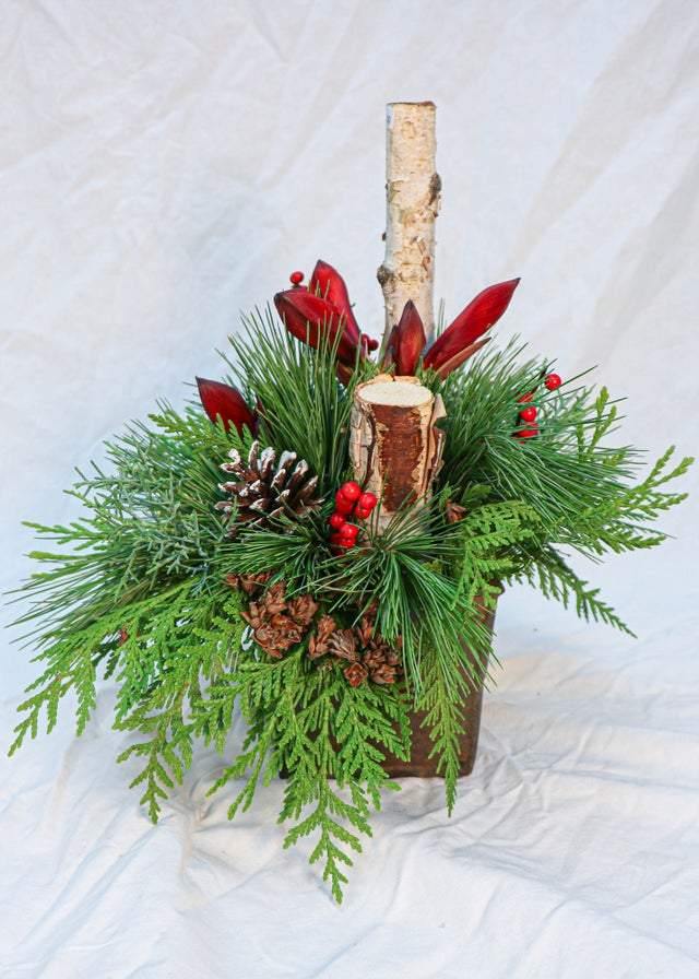 Winter Solstice - Plant - Toronto Flower Gallery