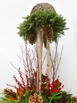 Meet Me Under the Mistletoe