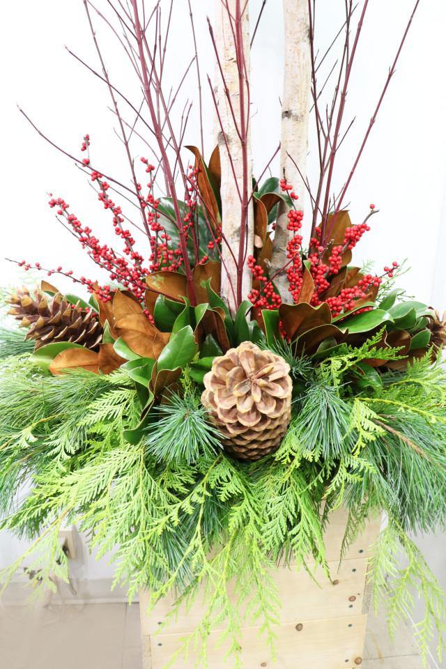 Meet Me Under the Mistletoe - Plant - Toronto Flower Gallery