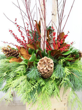 Meet Me Under the Mistletoe