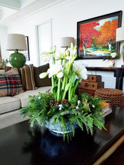 Snowflakes - Plant - Toronto Flower Gallery