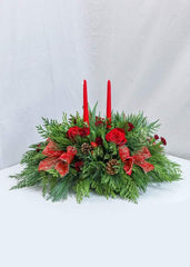 Holy Night - Flower - Toronto Flower Gallery