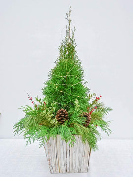 Under the Christmas Tree