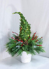 Under the Christmas Tree - Plant - Toronto Flower Gallery