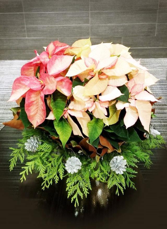 Sleigh Bells Ring - Toronto Flower Gallery