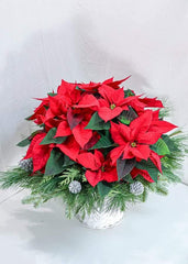 Joy to the World - Toronto Flower Gallery