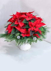 Joy to the World - Toronto Flower Gallery