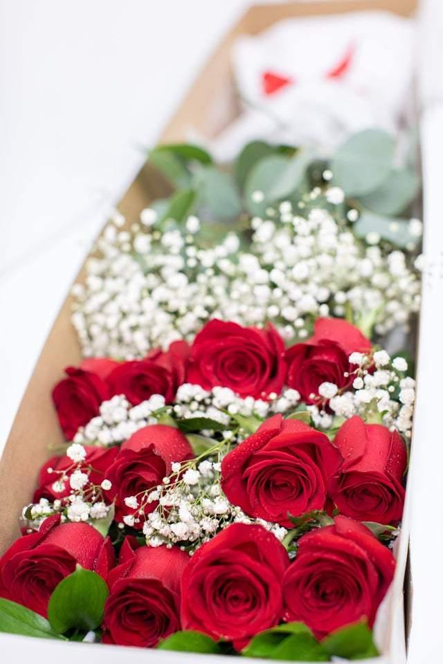 12 Red Roses & Baby's Breath In A Box - Toronto Flower Gallery