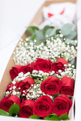 12 Red Roses & Baby's Breath In A Box - Toronto Flower Gallery