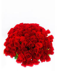 100 Premium Red Roses - Toronto Flower Gallery
