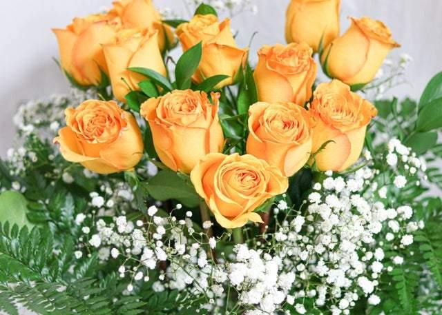 12 Yellow Roses with Baby's breath - Toronto Flower Gallery