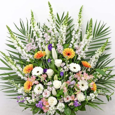 Scents of the Rainforest