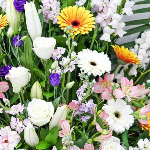 Scents of the Rainforest