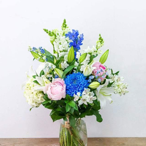 Blue Rain Blossom (Blue Mum)