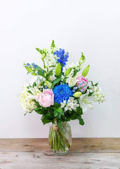 Blue Rain Blossom (Blue Mum) - Toronto Flower Gallery